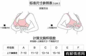 胸罩怎么区分abcd(胸罩怎么区分abcd罩杯)