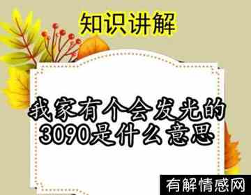 3090是什么意思网络用语(会发光的3090是什么意思网络用语)