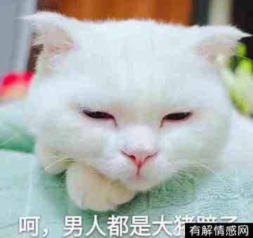 男人都是大猪蹄子什么意思(果然男人都是大猪蹄子什么意思)