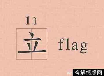 立个flag是什么意思中文(立flag是什么意思翻译成中文)